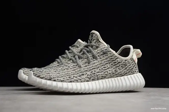 YEEZY Dove Boost 350 AQ4832 Adidas Turtle 0701
